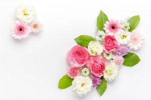 花の画像